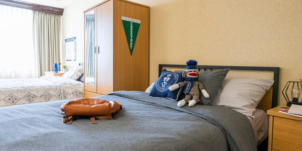 Brightly lit double-room at Chestnut Residence.