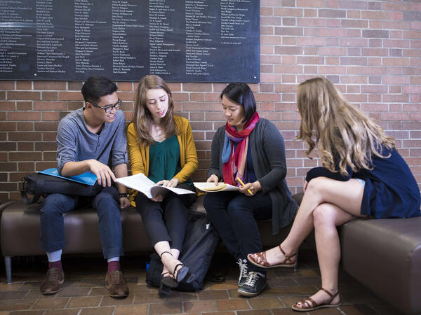 Students studying on a bench.